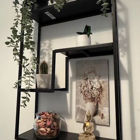 Maison d'hôtes Vibes